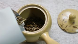 Hojicha thee