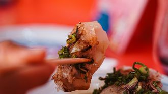 Kant-en-klare dumplings recepten