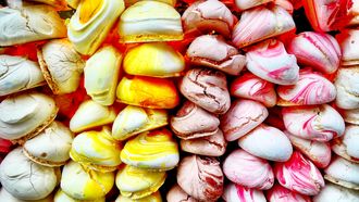 meringue en pavlova stock | patisserie-woordenboek