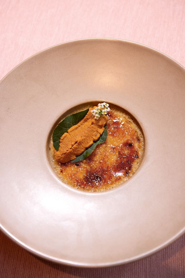 Crème brûlée met zee-egel en witte asperge