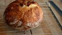 zelfgemaakt brood